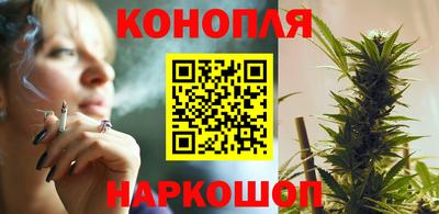 сатива Новодвинск