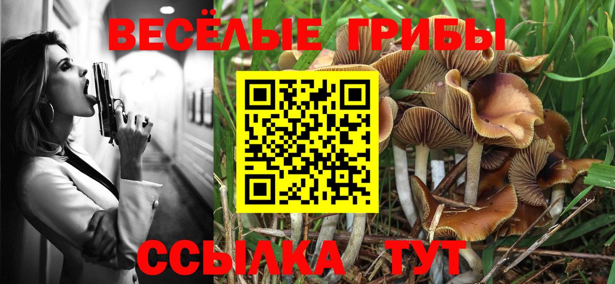 Псилоцибиновые грибы мухоморы Стрежевой