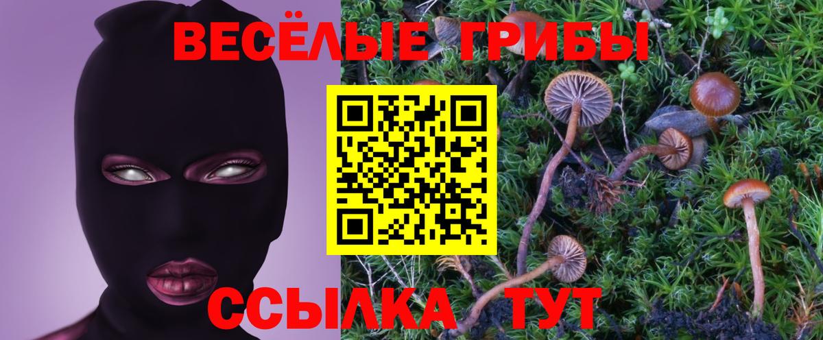 Галлюциногенные грибы мухоморы  Вход с VPN  Стрежевой 